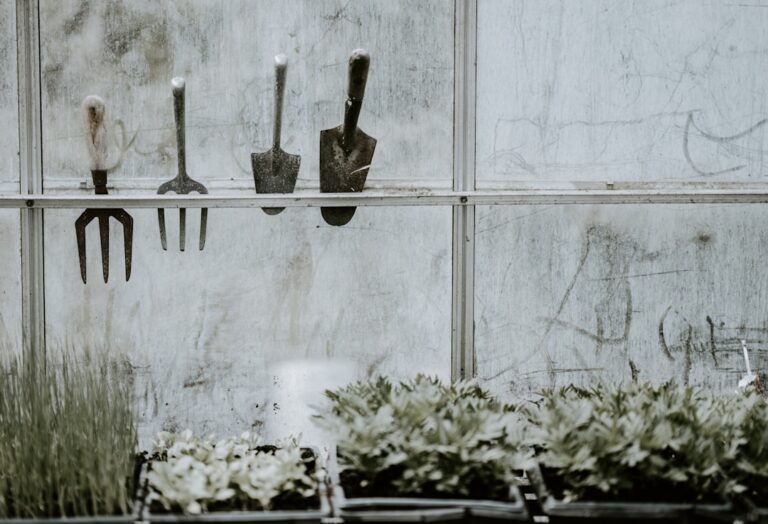 The Ultimate Guide to Organic Gardening for Beginners