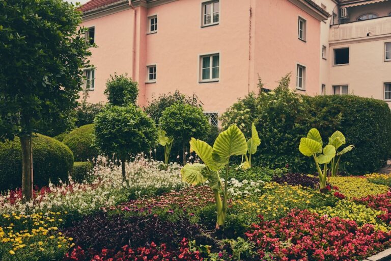 How to Create a Stunning Flower Garden on a Budget