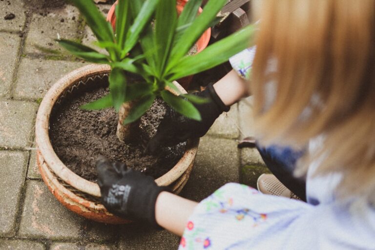 Five Common Gardening Mistakes and How to Avoid Them