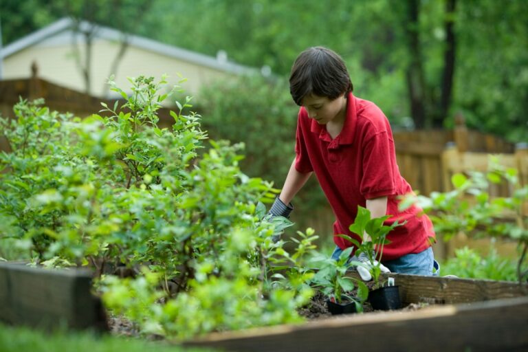 Seasonal Gardening Checklist for Optimal Plant Growth